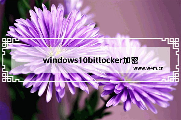 windows10bitlocker加密磁盘,windows10 bitlocker加密了怎么分区