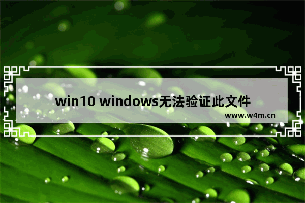 win10 windows无法验证此文件的数字签名,Windows数字签名