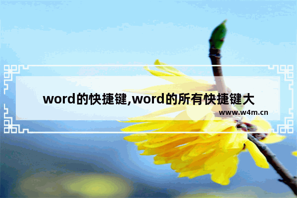 word的快捷键,word的所有快捷键大全