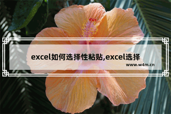 excel如何选择性粘贴,excel选择性粘贴方式