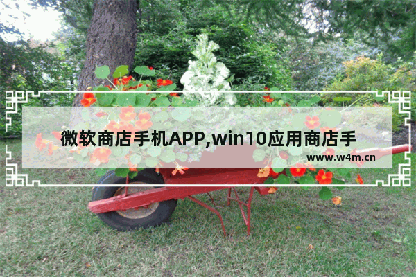 微软商店手机APP,win10应用商店手机版