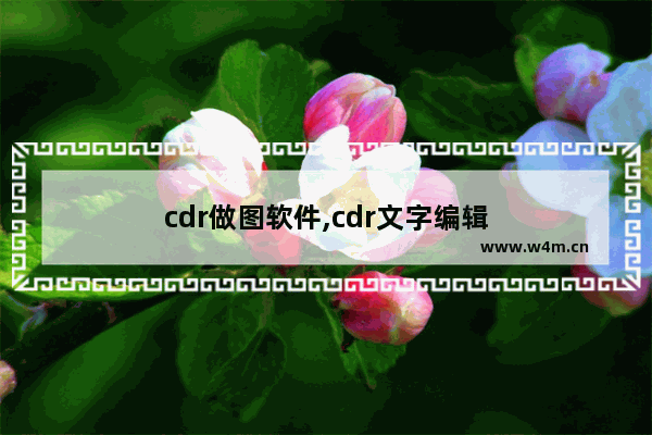 cdr做图软件,cdr文字编辑