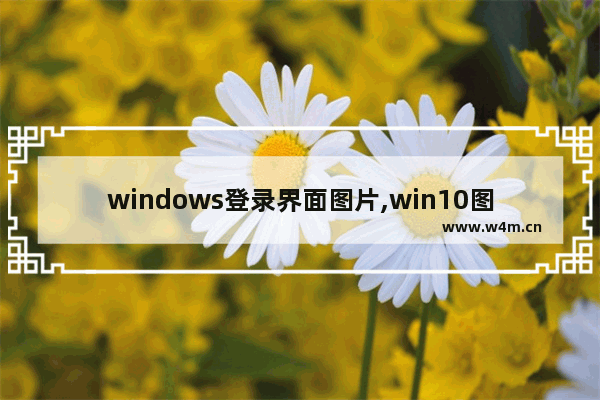 windows登录界面图片,win10图片登录