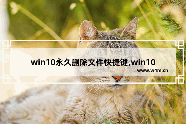 win10永久删除文件快捷键,win10快捷删除按键