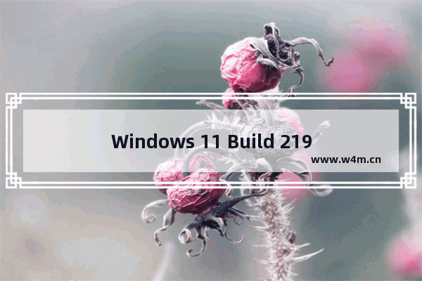 Windows 11 Build 21996,