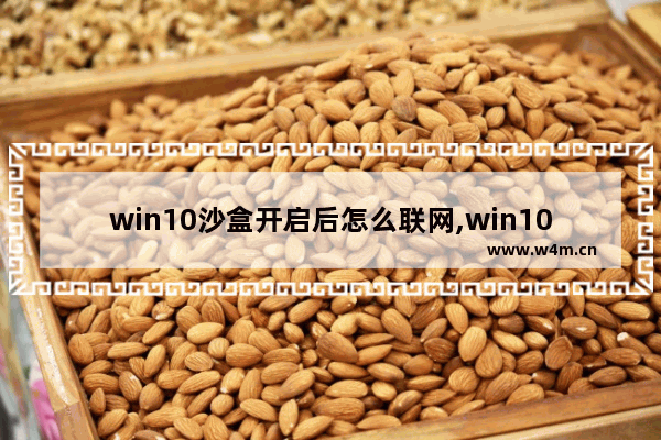 win10沙盒开启后怎么联网,win10沙盒开启开机蓝屏