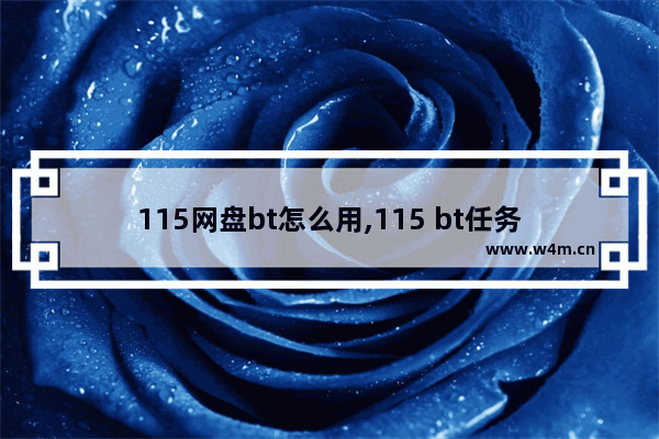 115网盘bt怎么用,115 bt任务