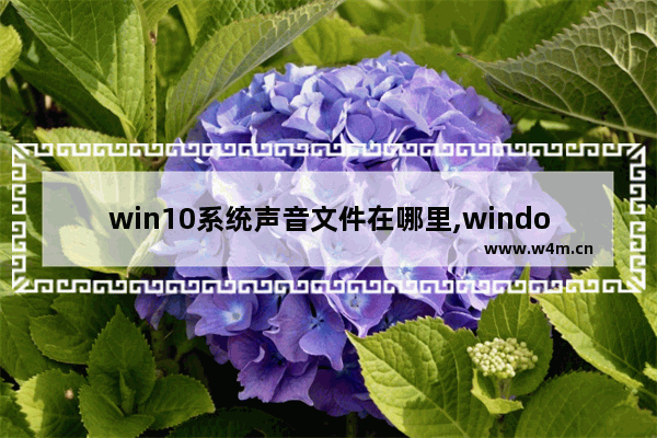 win10系统声音文件在哪里,windows声音格式是