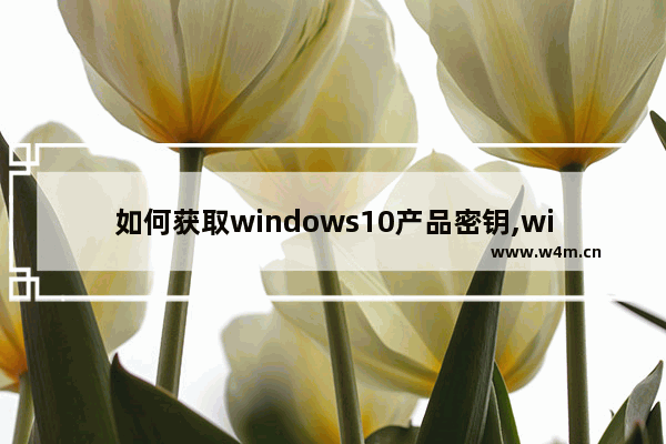 如何获取windows10产品密钥,windows10的密钥在哪里