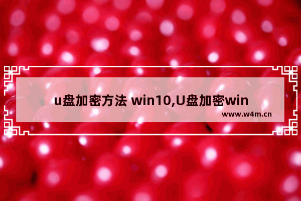 u盘加密方法 win10,U盘加密win10