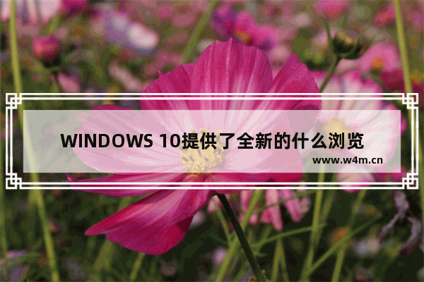 WINDOWS 10提供了全新的什么浏览器,Microsoft Windows10自带的浏览器是