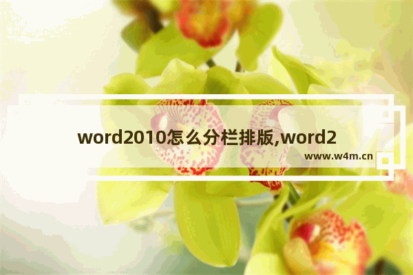 word2010怎么分栏排版,word2007怎么分栏排版