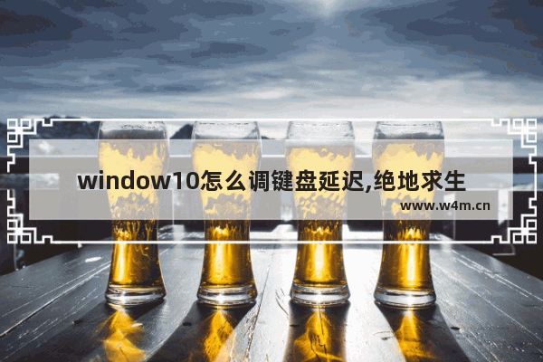 window10怎么调键盘延迟,绝地求生鼠标键盘操作延迟严重