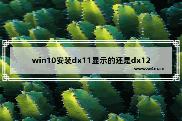 win10安装dx11显示的还是dx12,win10有dx11吗