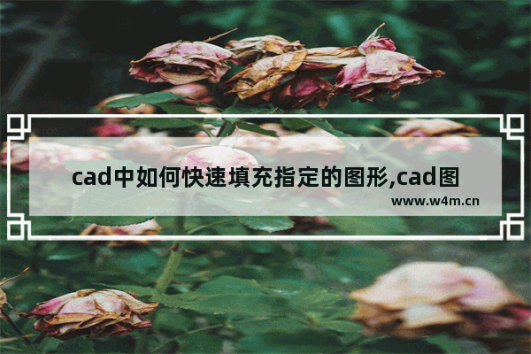 cad中如何快速填充指定的图形,cad图案填充快捷方式