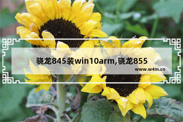 骁龙845装win10arm,骁龙855 win10