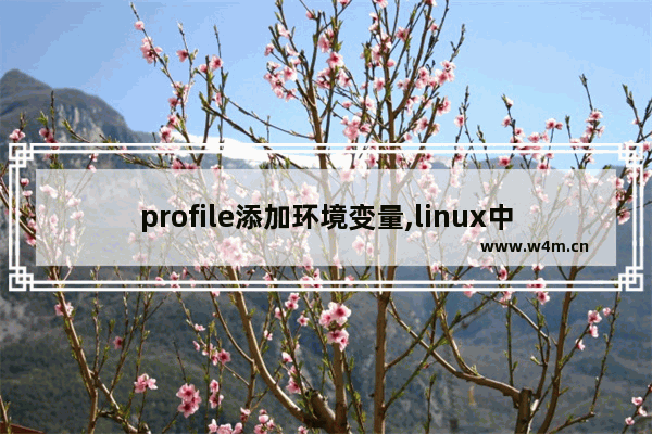 profile添加环境变量,linux中的profile