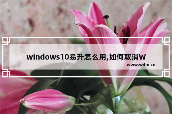 windows10易升怎么用,如何取消Windows易升