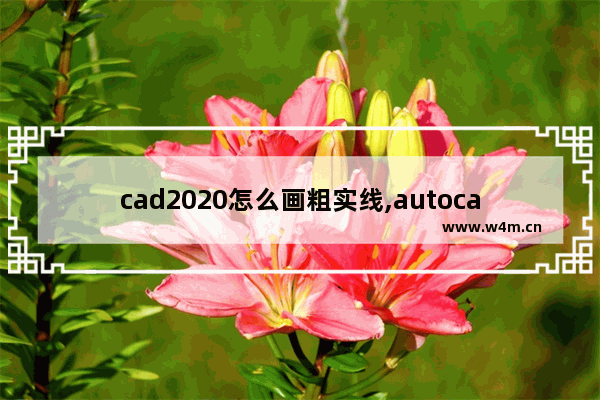 cad2020怎么画粗实线,autocad2020怎么显示粗实线