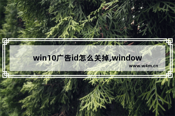 win10广告id怎么关掉,window10广告id要不要关