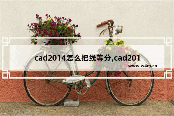 cad2014怎么把线等分,cad2014直线等分怎么画