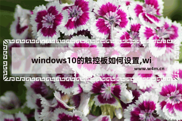 windows10的触控板如何设置,win10触控面板设置_1