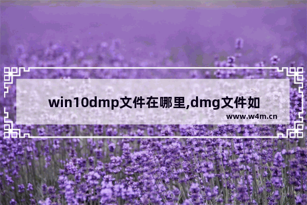 win10dmp文件在哪里,dmg文件如何在windows10打开