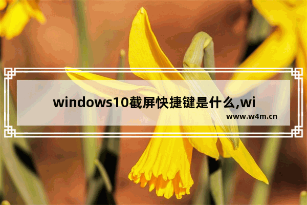 windows10截屏快捷键是什么,win10快捷截屏键是哪个键