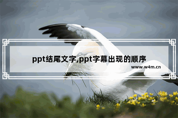 ppt结尾文字,ppt字幕出现的顺序