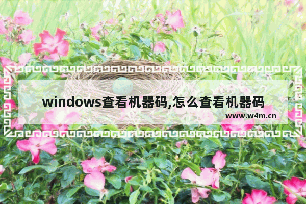 windows查看机器码,怎么查看机器码