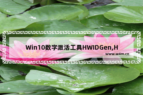 Win10数字激活工具HWIDGen,HWIDGEN v62.01中文版(Win10永久数字激活工具)_1