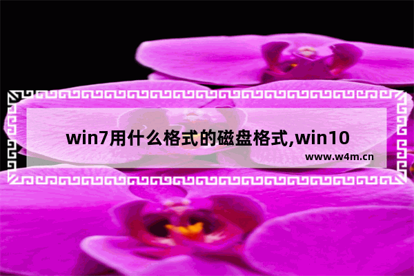 win7用什么格式的磁盘格式,win10转win7硬盘转换