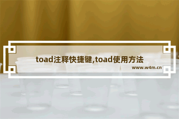 toad注释快捷键,toad使用方法