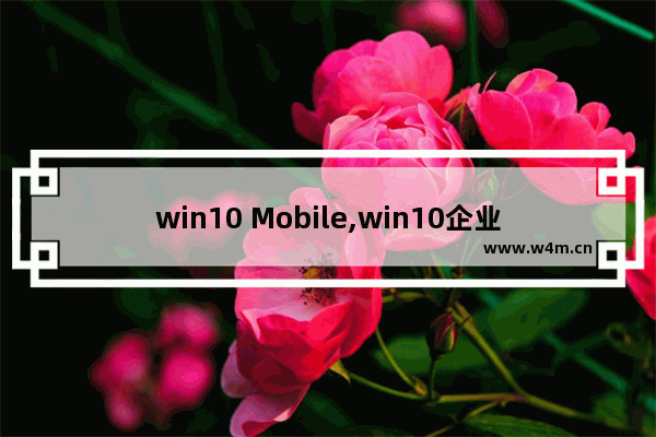 win10 Mobile,win10企业版更新