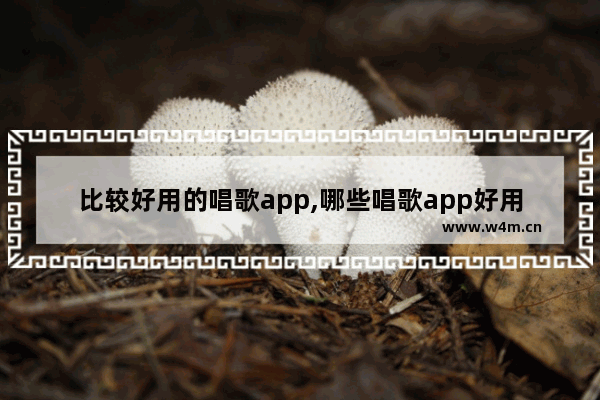 比较好用的唱歌app,哪些唱歌app好用