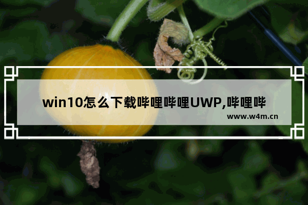 win10怎么下载哔哩哔哩UWP,哔哩哔哩动画 UWP