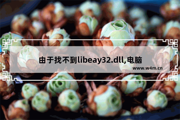 由于找不到libeay32.dll,电脑提示丢失libeay32.dll