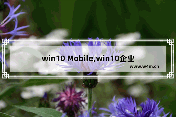 win10 Mobile,win10企业版更新