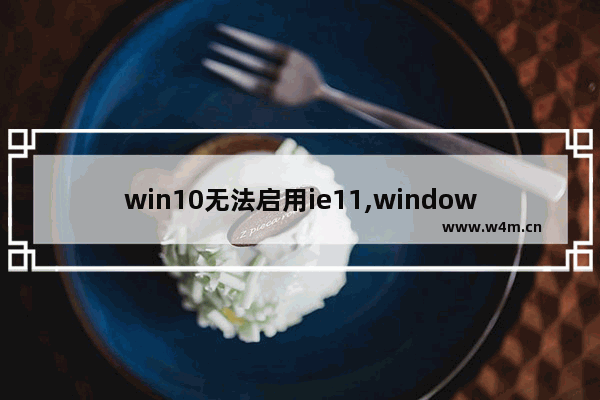 win10无法启用ie11,windows功能没有ie11