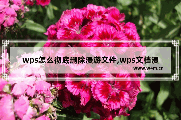 wps怎么彻底删除漫游文件,wps文档漫游怎么关掉