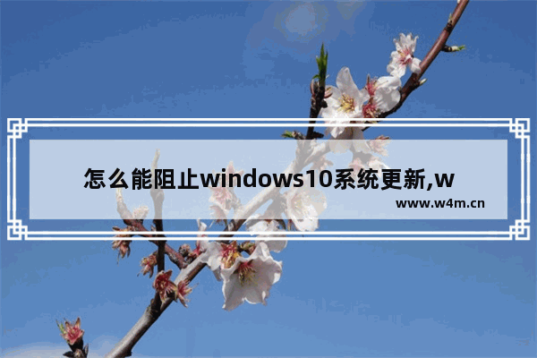 怎么能阻止windows10系统更新,win10系统如何阻止系统更新