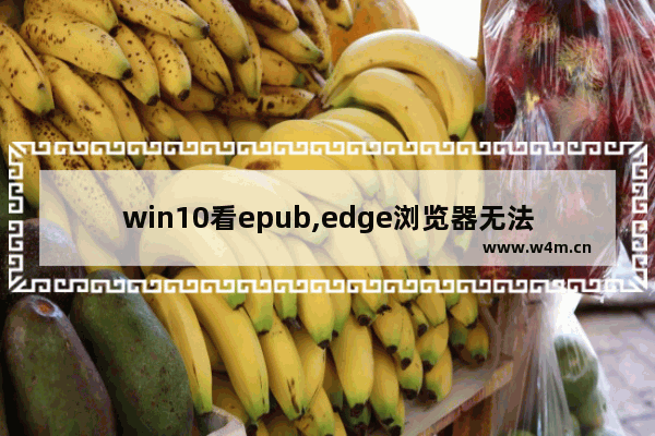 win10看epub,edge浏览器无法打开pdf