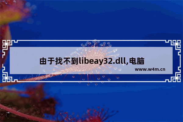 由于找不到libeay32.dll,电脑提示丢失libeay32.dll