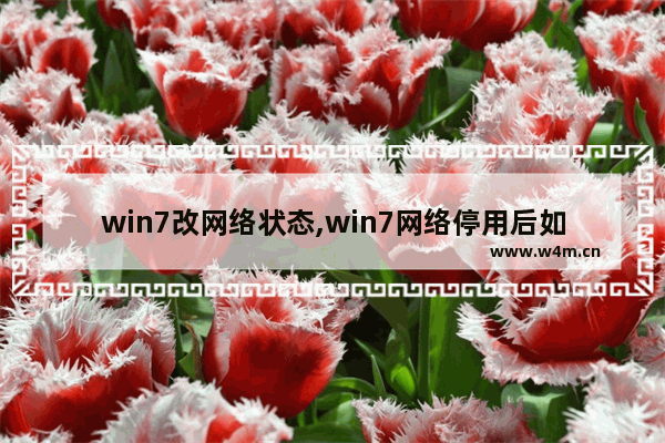 win7改网络状态,win7网络停用后如何恢复