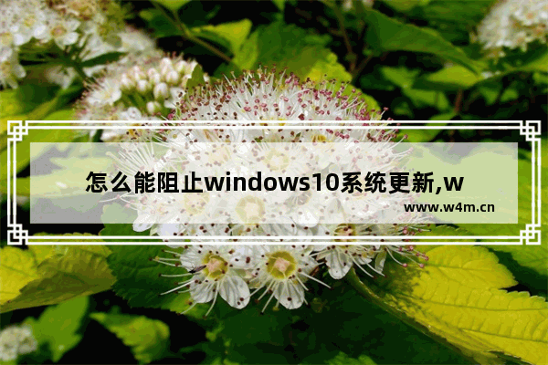 怎么能阻止windows10系统更新,win10系统如何阻止系统更新