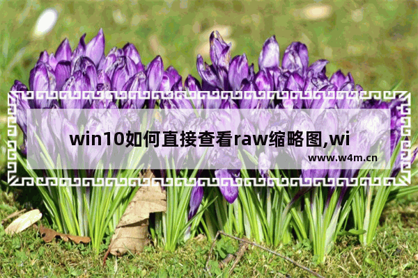 win10如何直接查看raw缩略图,windows10看不了raw缩略图