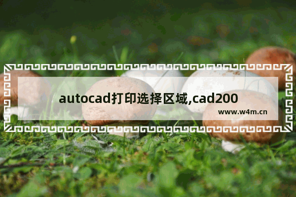 autocad打印选择区域,cad2007如何打印选定区域