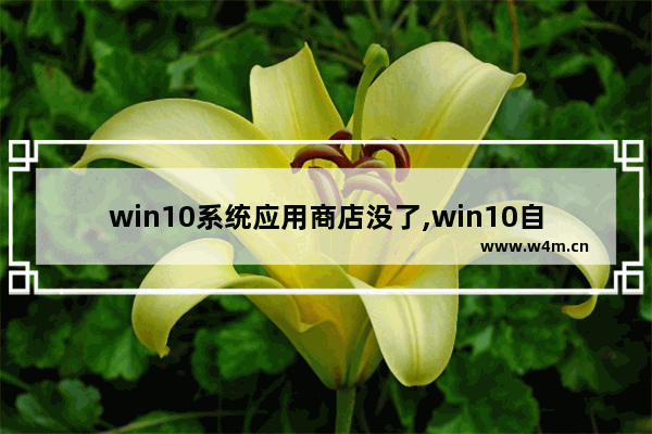 win10系统应用商店没了,win10自动更新关闭后 应用商店无法下载