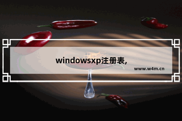 windowsxp注册表,