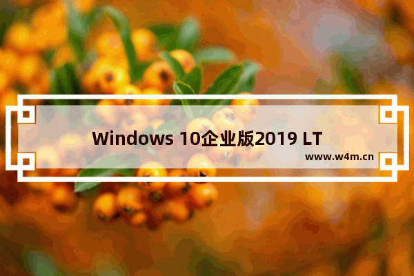 Windows 10企业版2019 LTSC镜像,win10企业版2019ltsc